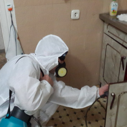 Дезинфекция от муравьев в квартире в Давыдово