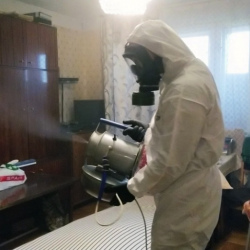Дезинфекция от клопов в Давыдово