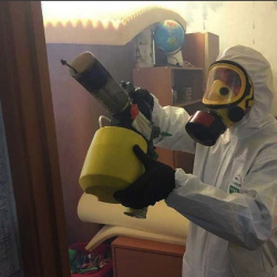 Уничтожение клопов в квартире. Давыдово